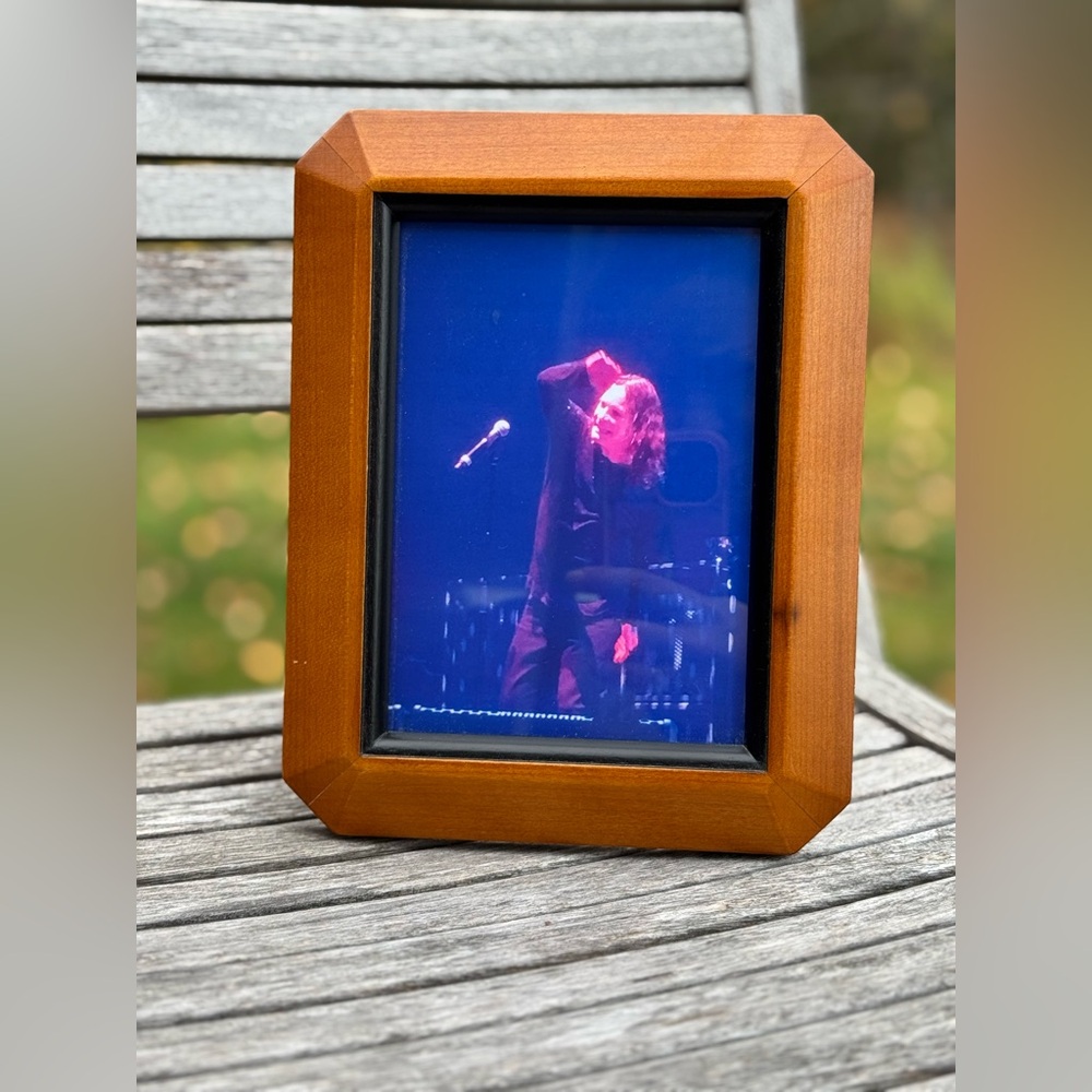 Ozzy Live in 2016 Framed Photography